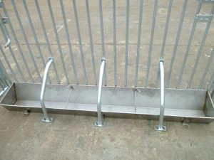 Stainless Steel Pig Feeder